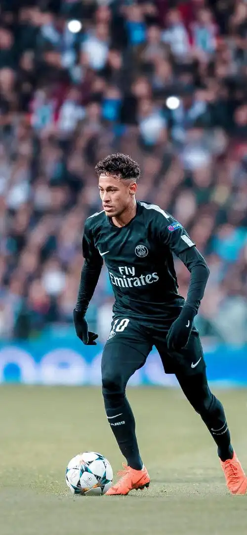 无论是公共 无论是公共