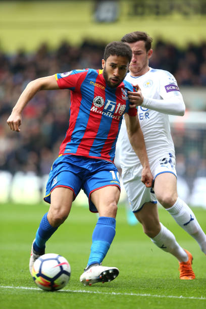 球迷们在给 球迷们在给